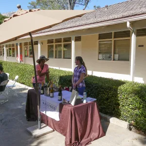 Summer Sips: â€œWhat Wines and Lichens Have in Commonâ€ with Rikke Naesborg