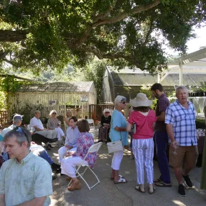 Summer Sips: â€œWhat Wines and Lichens Have in Commonâ€ with Rikke Naesborg