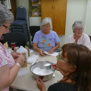 â€œHerbal Stress Relief Kit Workshopâ€ with Emily Sanders