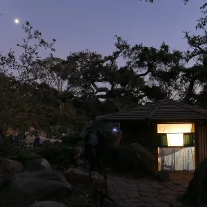 Full Moon Family Night