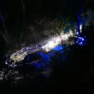 Full Moon Family Night, looking for night insects