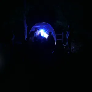 Full Moon Family Night, insect observation station with ultraviolet attacting lamp