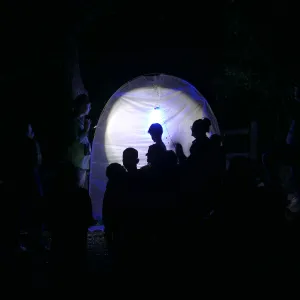 Full Moon Family Night, insect observation station