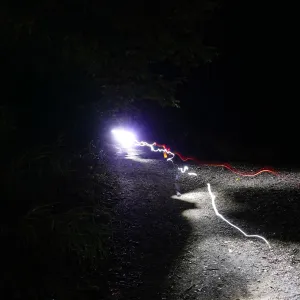 Full Moon Family Night, Canyon Trail