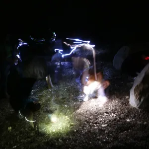 Full Moon Family Night