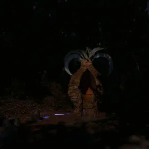 Rings of Time Casita, Full Moon Family Night