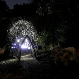 Woodrat House, Full Moon Family Night