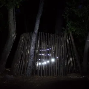 Understory Casita, Full Moon Family Night