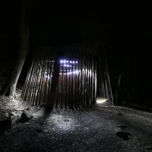 Understory Casita, Full Moon Family Night
