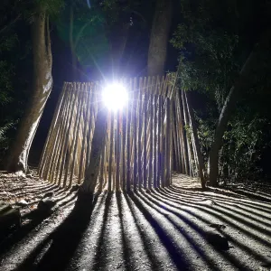 Understory Casita, Full Moon Family Night