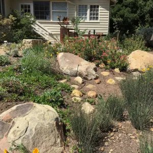 Rain garden at the Water Wise Home Garden