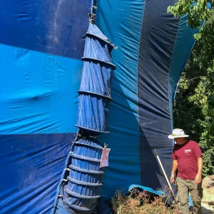 Fumigation of the Herbarium building