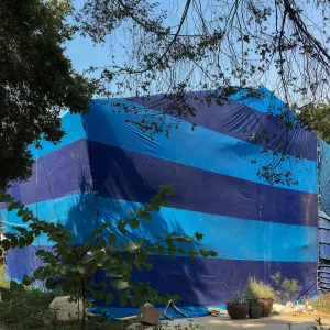 Fumigation of the Herbarium building