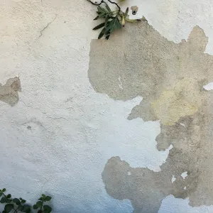 Peeling paint on front wall of Blaksley Library