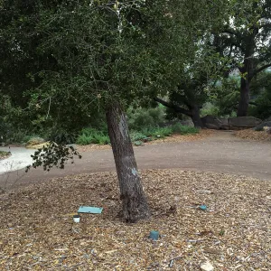 Southern most of Meadow Oaks