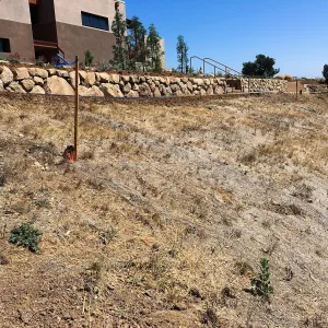 Stabilized slope on west side below Conservation Center