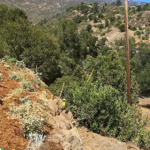 Island View Garden, east side of PCC, and East slope