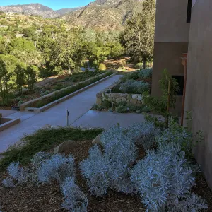 Rare plant collection at the Pritzlaff Conservation Center