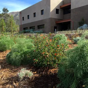 West slope of Island View Garden