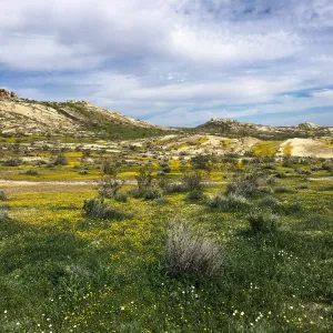 Gem Hill, Kern County