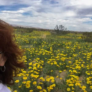 Betsy collins with Monolopia lanceolata wildflowers along Mojave-Tropico Rd in Kern County
