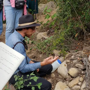 Greet the Day Stroll on the Pritchett Trail