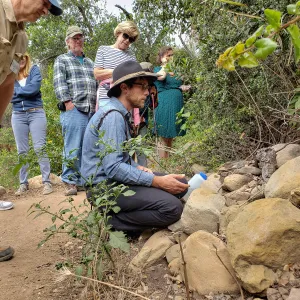 Greet the Day Stroll on the Pritchett Trail