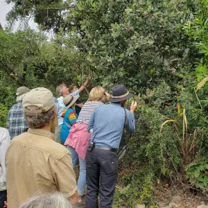 Greet the Day Stroll on the Pritchett Trail
