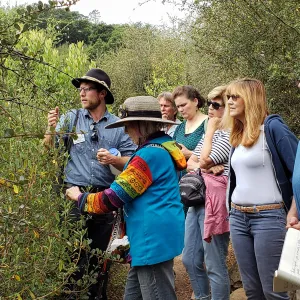 Greet the Day Stroll on the Pritchett Trail
