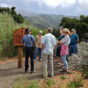 Greet the Day Stroll at the Native Bee Condo