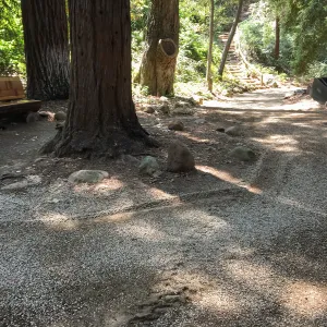 Trail work on Redwood Trail, Indian Steps