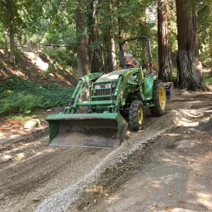 Redoing Redwood Trail, Dave Kershaw