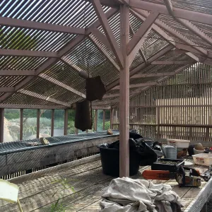 Reconstruction of Garden Growers lath house