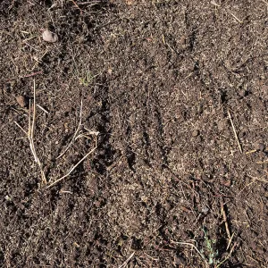Seed sown in Meadow