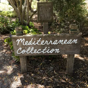 Signage at Leaning Pine Arboretum, Cal Poly San Luis Obispo