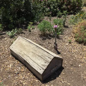 Irrigation valve cover at San Luis Obispo Botanic Garden