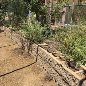 San Luis Obispo Botanic Garden Raised Beds