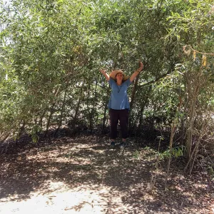 Willow structure at San Luis Obispo Botanic Garden