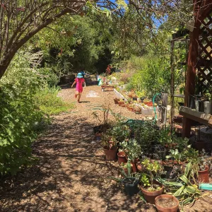 San Luis Obispo Botanic Garden, Childrens Garden