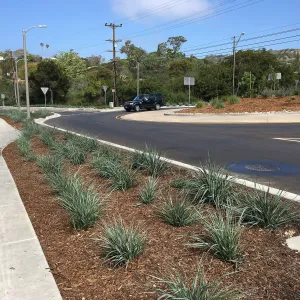 Roundabout at Las Positas and Cliff Drive, Leymus Canyon Prince