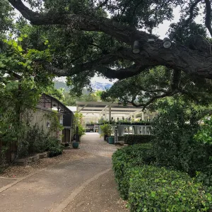 Garden Growers Nursery