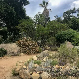 Desert Section
