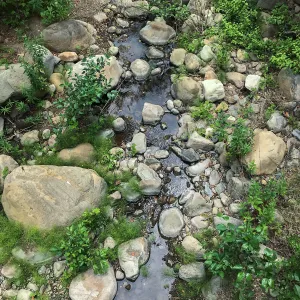 Mission Creek below the Campbell Bridge