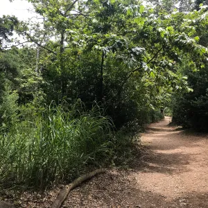 Canyon Trail