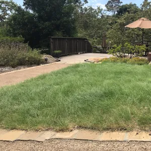 Water Wise Home Garden and Home Demonstration Deck