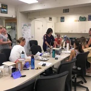 Herbal First Aid Kits For Families Workshop