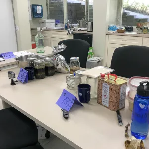 Herbal First Aid Kits For Families Workshop