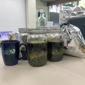 Herbal First Aid Kits For Families Workshop