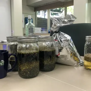 Herbal First Aid Kits For Families Workshop