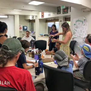 Herbal First Aid Kits For Families Workshop